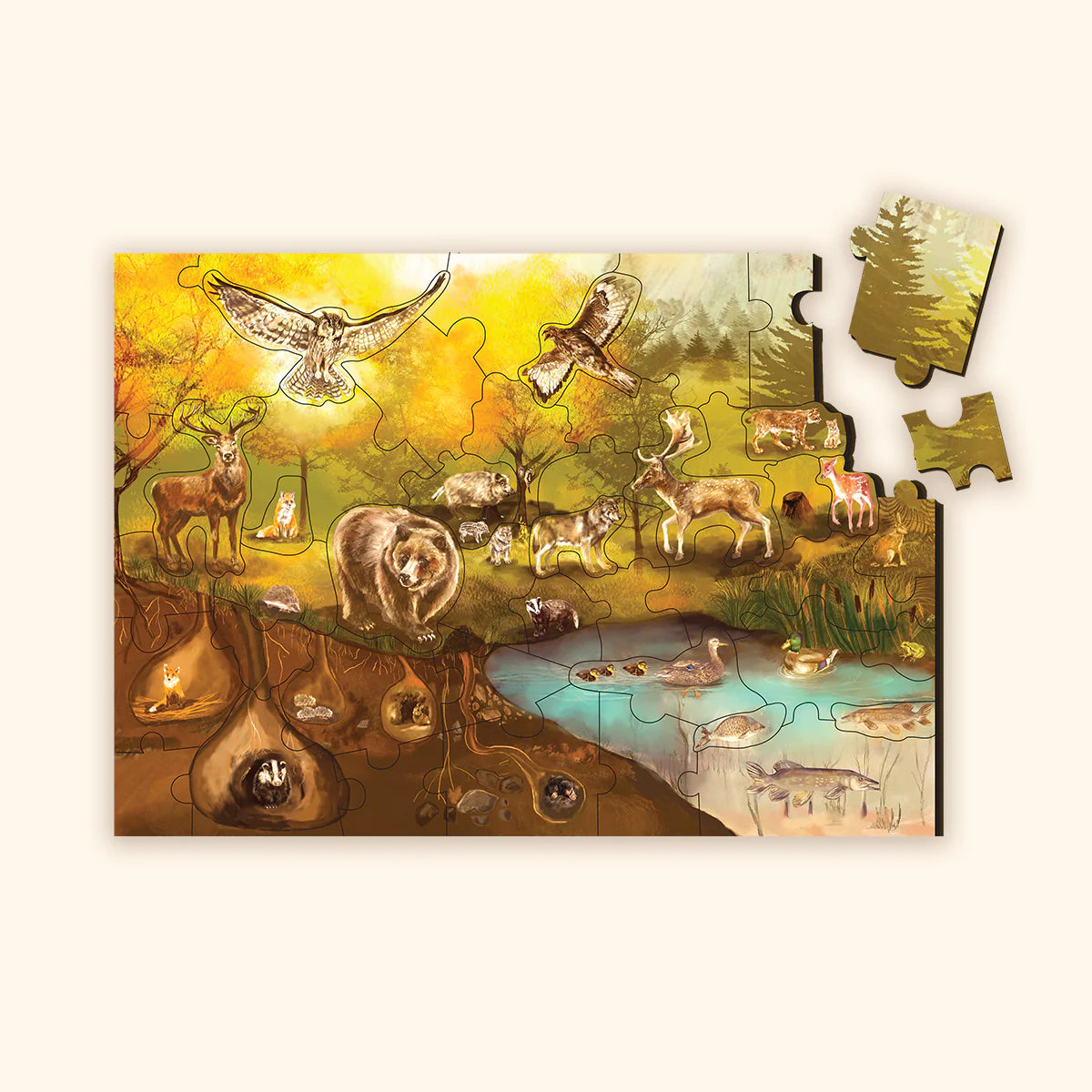 Puzzle du sol forestier